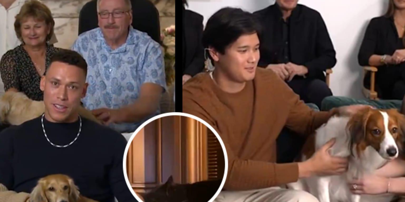 Deluping Dog Dog Dog Of Dogoy lan Aaron Hakim Asu Mvp