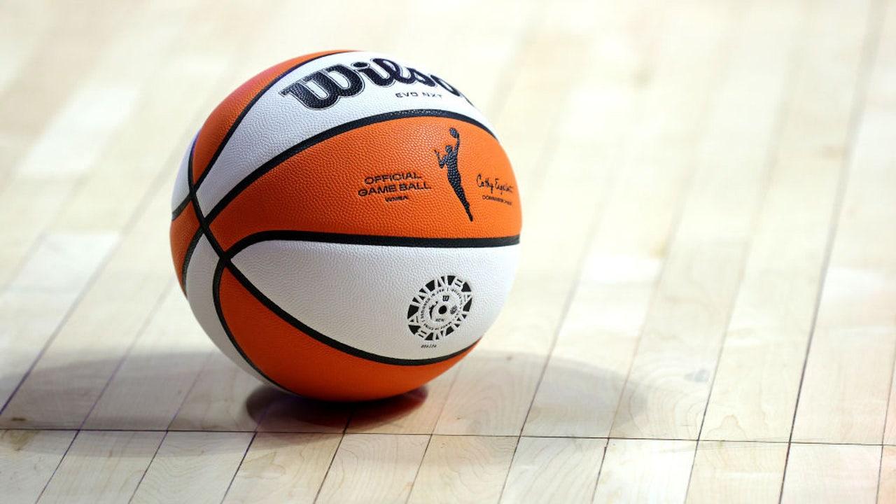 For the cultivation of sex toys during the Atlanta Dream Game, WNBA says |Fox 5 ...